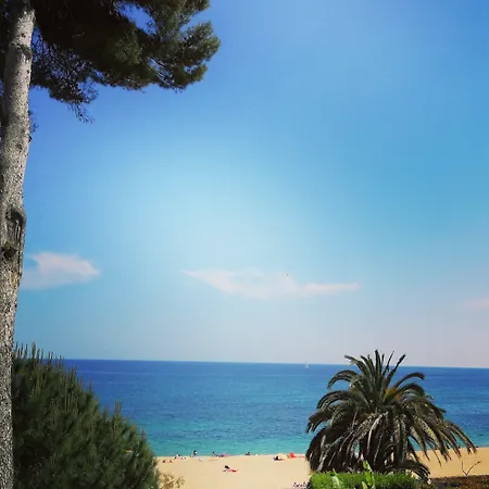 酒店 萨洛克ght酒店